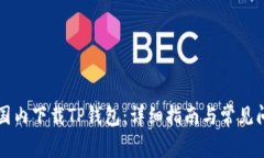 如何在国内下载TP钱包：详
