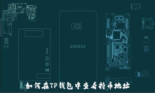   
如何在TP钱包中查看持币地址