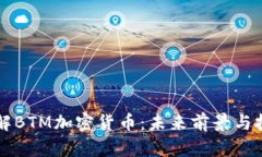 深入了解BTM加密货币：未
