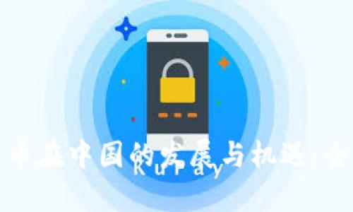 加密货币在中国的发展与机遇：全面解析