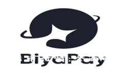 TP钱包怎么看新币行情：全