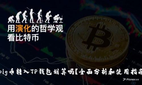 pig币转入TP钱包划算吗？全面分析和使用指南