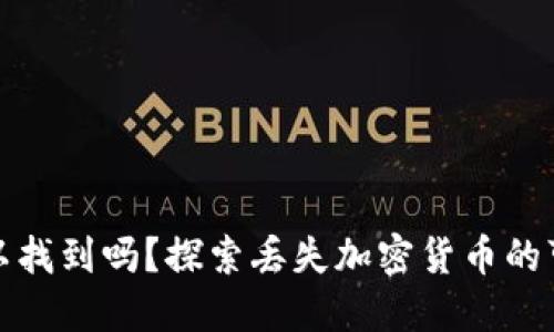 加密货币丢失可以找到吗？探索丢失加密货币的可能性与解决方案