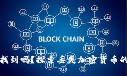 加密货币丢失可以找到吗？探索丢失加密货币的可能性与解决方案