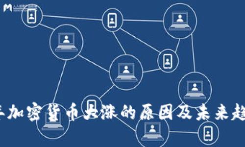 2023年加密货币大涨的原因及未来趋势分析