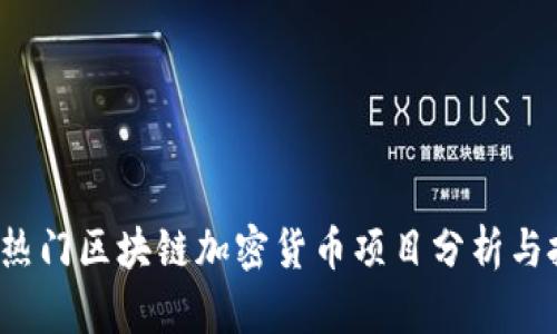 2023年热门区块链加密货币项目分析与投资指南