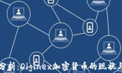 全面分析：Diginex加密货币的现状与未来