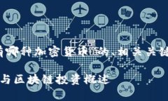 以下是关于“Kakao持有哪种