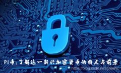 Pi币：了解这一新兴加密货