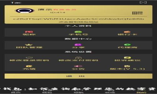 TP钱包:如何查询和管理您的数字资产