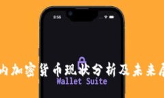 国内加密货币现状分析及
