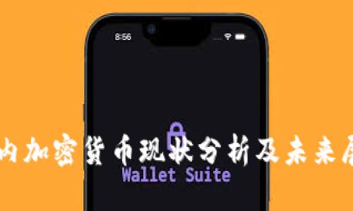 国内加密货币现状分析及未来展望