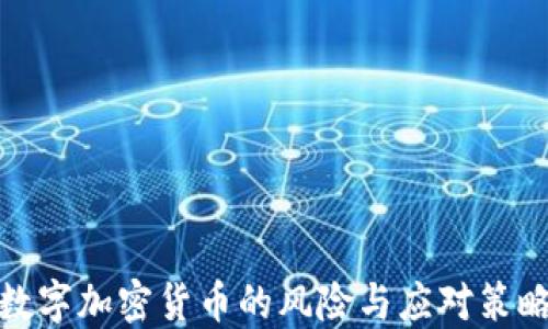 
数字加密货币的风险与应对策略