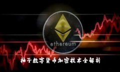 柚子数字货币加密技术全