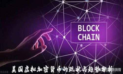 
美国虚拟加密货币的现状与趋势分析