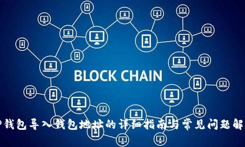TP钱包导入钱包地址的详细指南与常见问题解答