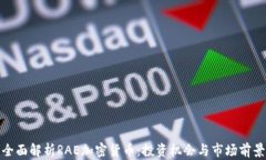 全面解析RAE加密货币：投
