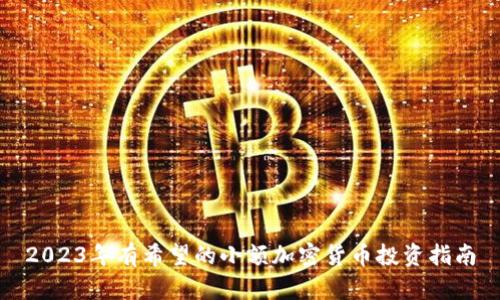 2023年有希望的小额加密货币投资指南
