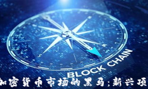 
探索2024年加密货币市场的黑马：新兴项目与潜力分析