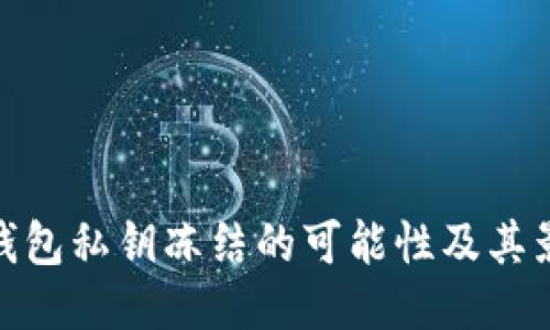 TP钱包私钥冻结的可能性及其影响