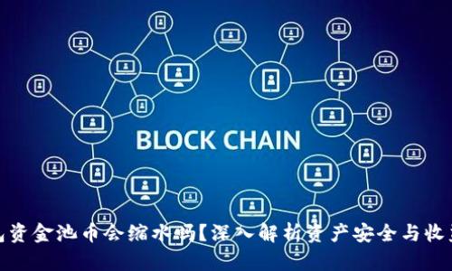 tp钱包资金池币会缩水吗？深入解析资产安全与收益机制