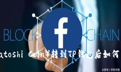 中本聪币（Satoshi Coin）转到TP钱包后如何出售？全攻略