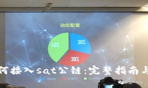 TP钱包如何接入sat公链：完整指南与实用技巧