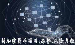 全面解析加密货币项目：趋势、风险与投资策略