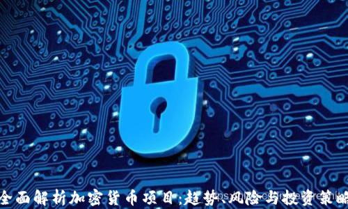 
全面解析加密货币项目：趋势、风险与投资策略