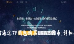 如何通过TP钱包购买LOWB代币：详细指南