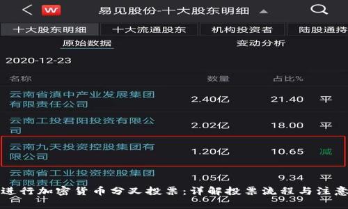 如何进行加密货币分叉投票：详解投票流程与注意事项