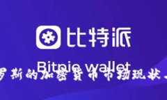 美国与俄罗斯的加密货币