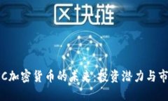 探索CSC加密货币的未来：