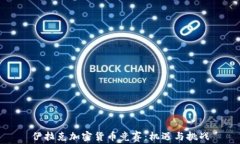 伊拉克加密货币竞赛：机