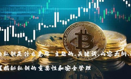 以下是围绕“TP钱包的私钥是什么意思”主题的、关键词、内容大纲、附加问题的详细结构。

TP钱包的私钥是什么？揭秘私钥的重要性和安全管理