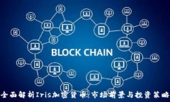  全面解析Iris加密货币：