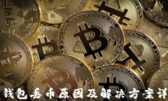 TP钱包丢币原因及解决方案
