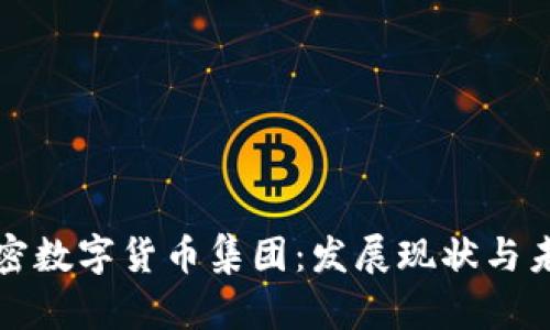 中国加密数字货币集团：发展现状与未来趋势