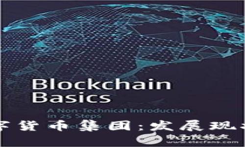 中国加密数字货币集团：发展现状与未来趋势