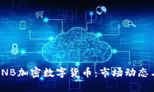 深入探讨CNB加密数字货币:市场动态与投资机会